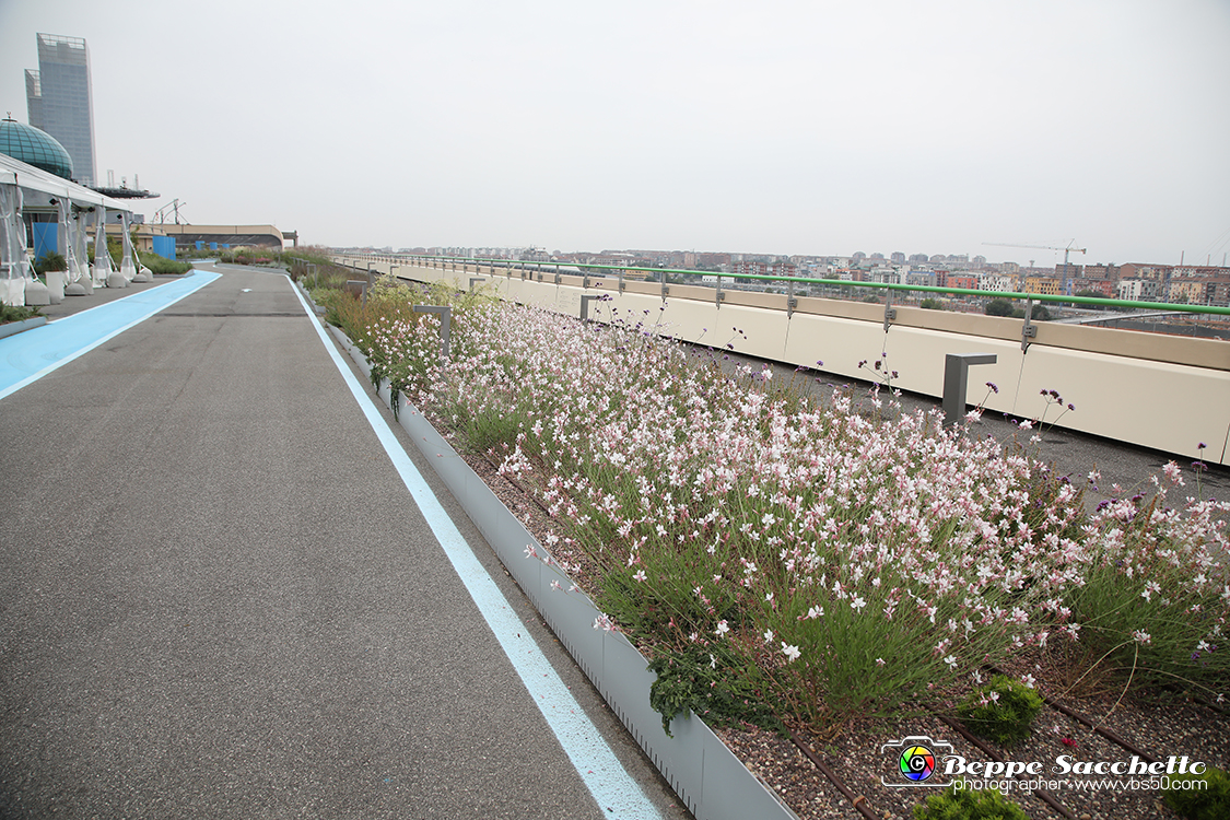 VBS_9633 - Parco Pensile Lingotto.jpg